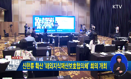 신한류 확산 해외지식재산보호협의체 회의 개최 동영상 보기