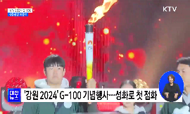 강원 2024 G-100 기념행사···서울광장 떠들썩 동영상 보기