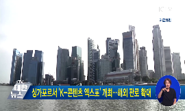 싱가포르서 K-콘텐츠 엑스포 개최···해외 판로 확대 동영상 보기